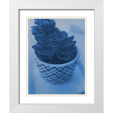 Succulent Plant 2 White Modern Wood Framed Art Print with Double Matting by Phillip, Jamie