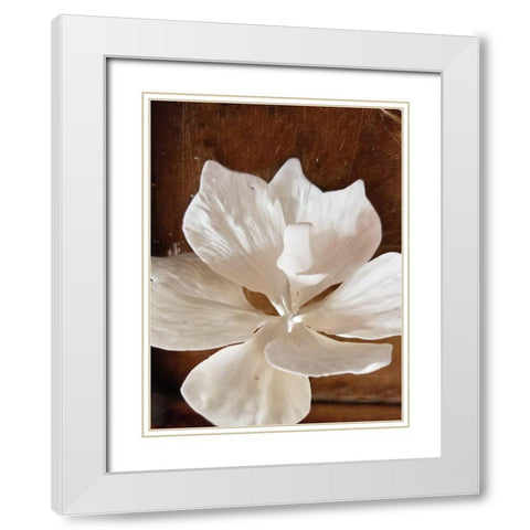 Orchid Love White Modern Wood Framed Art Print with Double Matting by Phillip, Jamie