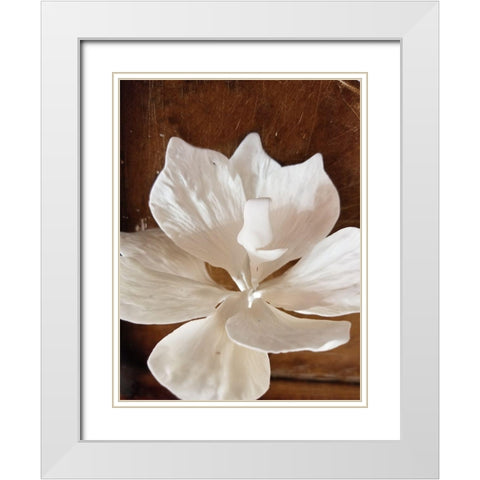 Orchid Love White Modern Wood Framed Art Print with Double Matting by Phillip, Jamie