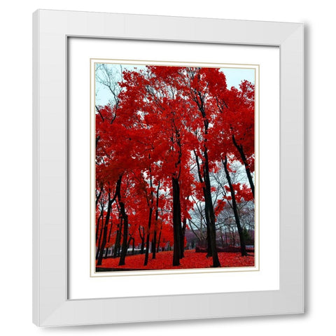 Silent Nature 4 White Modern Wood Framed Art Print with Double Matting by Phillip, Jamie
