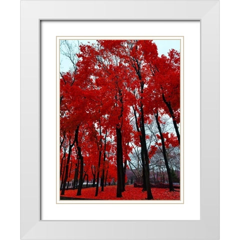 Silent Nature 4 White Modern Wood Framed Art Print with Double Matting by Phillip, Jamie