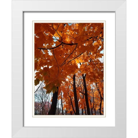 Silent Nature 5 White Modern Wood Framed Art Print with Double Matting by Phillip, Jamie