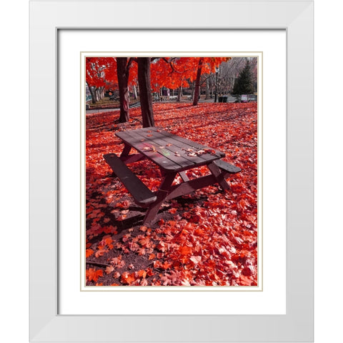 Silent Nature 7 White Modern Wood Framed Art Print with Double Matting by Phillip, Jamie