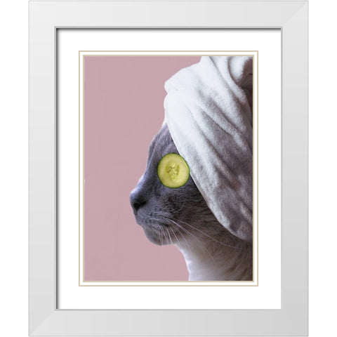 Spa Cat  White Modern Wood Framed Art Print with Double Matting by Phillip, Jamie