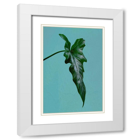 Leaf Me Alone White Modern Wood Framed Art Print with Double Matting by Phillip, Jamie