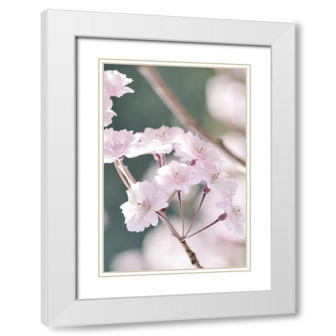 Smile White Modern Wood Framed Art Print with Double Matting by Phillip, Jamie