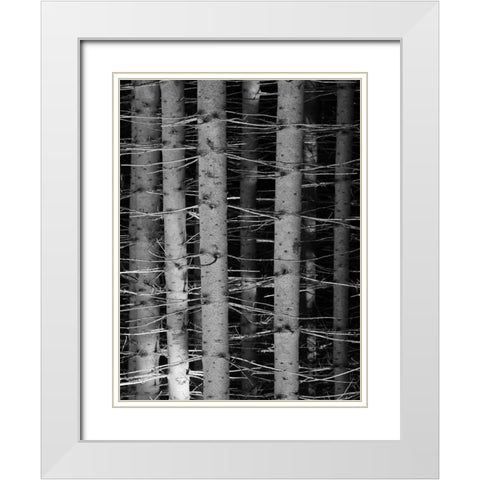 Dark Woods White Modern Wood Framed Art Print with Double Matting by Phillip, Jamie
