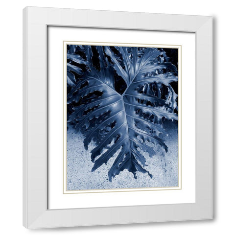 Garden White Modern Wood Framed Art Print with Double Matting by Phillip, Jamie