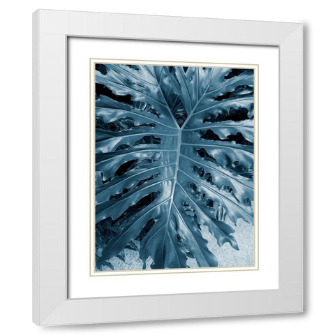 Garden 2 White Modern Wood Framed Art Print with Double Matting by Phillip, Jamie