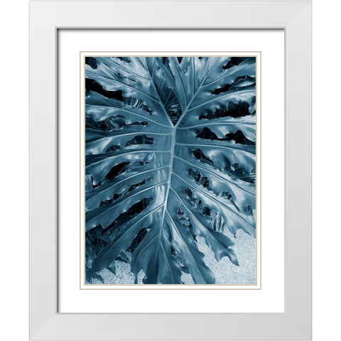 Garden 2 White Modern Wood Framed Art Print with Double Matting by Phillip, Jamie