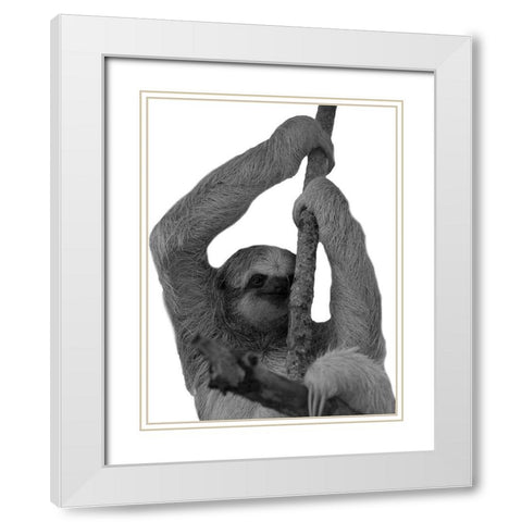 Hang In White Modern Wood Framed Art Print with Double Matting by Phillip, Jamie