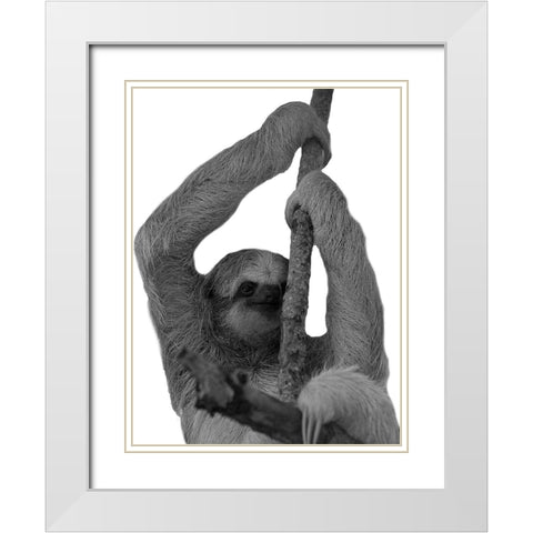 Hang In White Modern Wood Framed Art Print with Double Matting by Phillip, Jamie
