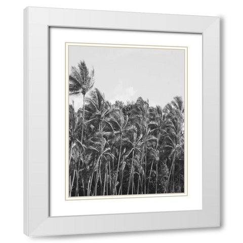 Trop Palm White Modern Wood Framed Art Print with Double Matting by Phillip, Jamie