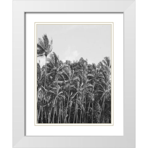 Trop Palm White Modern Wood Framed Art Print with Double Matting by Phillip, Jamie
