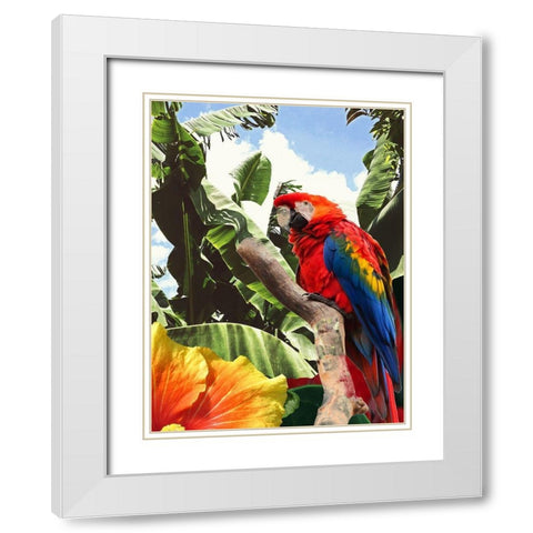 Tropical Garden White Modern Wood Framed Art Print with Double Matting by Phillip, Jamie