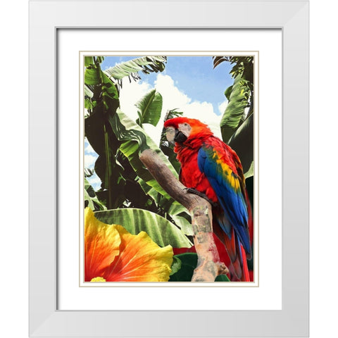 Tropical Garden White Modern Wood Framed Art Print with Double Matting by Phillip, Jamie