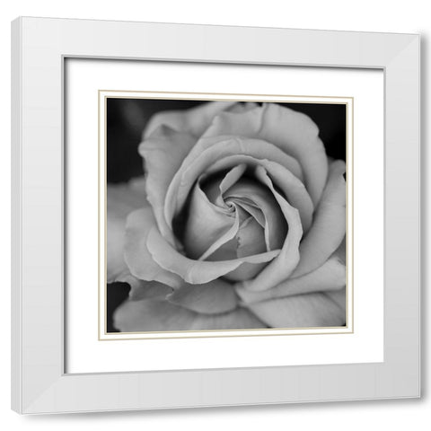 Beauty In Black White Modern Wood Framed Art Print with Double Matting by Phillip, Jamie