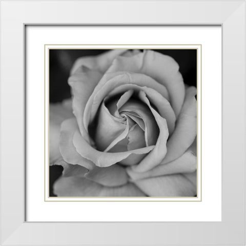 Beauty In Black White Modern Wood Framed Art Print with Double Matting by Phillip, Jamie