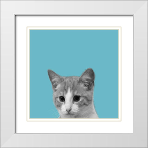 Good Cat White Modern Wood Framed Art Print with Double Matting by Phillip, Jamie