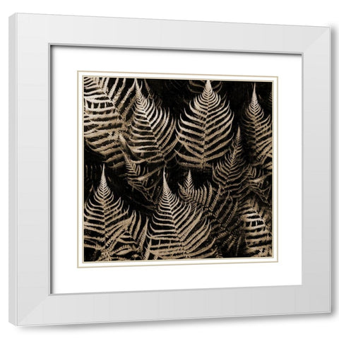 Natural Midnight White Modern Wood Framed Art Print with Double Matting by Phillip, Jamie