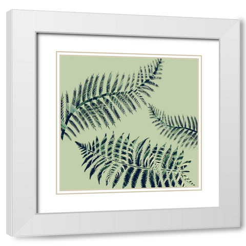 Paradise 1 White Modern Wood Framed Art Print with Double Matting by Phillip, Jamie