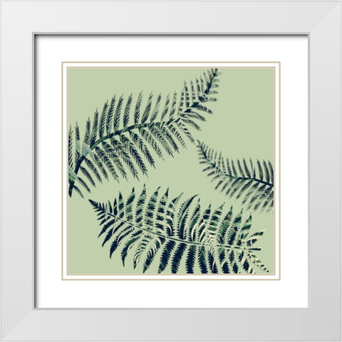 Paradise 1 White Modern Wood Framed Art Print with Double Matting by Phillip, Jamie