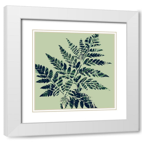 Paradise 2 White Modern Wood Framed Art Print with Double Matting by Phillip, Jamie