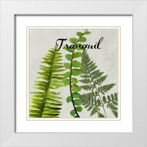 Tranquil White Modern Wood Framed Art Print with Double Matting by Phillip, Jamie