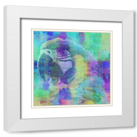 Flying Colors White Modern Wood Framed Art Print with Double Matting by Phillip, Jamie