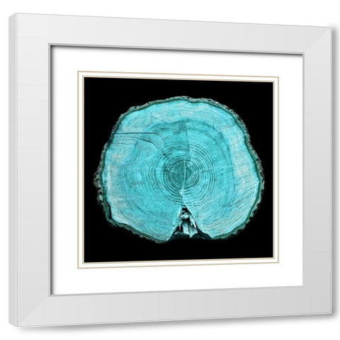 Lodge Log 1 White Modern Wood Framed Art Print with Double Matting by Phillip, Jamie