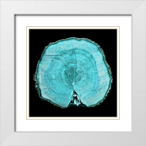 Lodge Log 1 White Modern Wood Framed Art Print with Double Matting by Phillip, Jamie