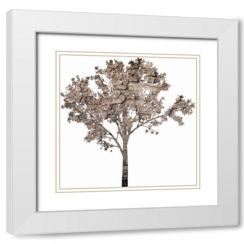 Wooded White Modern Wood Framed Art Print with Double Matting by Phillip, Jamie
