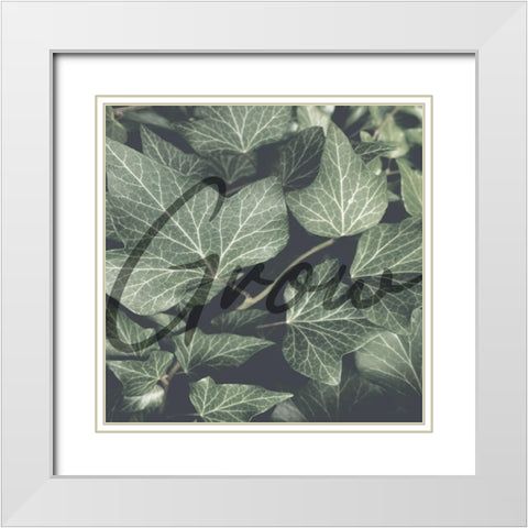 Green Garden White Modern Wood Framed Art Print with Double Matting by Phillip, Jamie