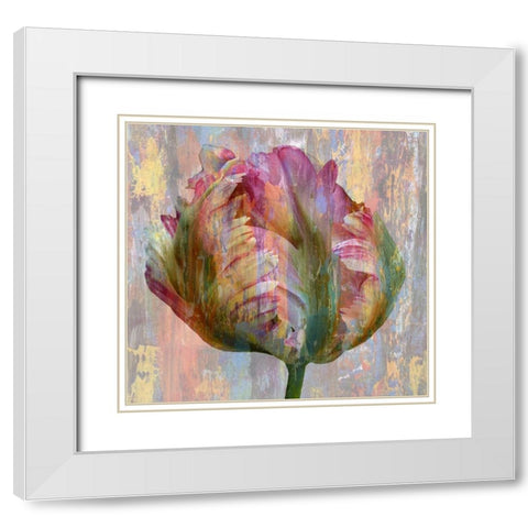Tulip Abstract White Modern Wood Framed Art Print with Double Matting by Phillip, Jamie