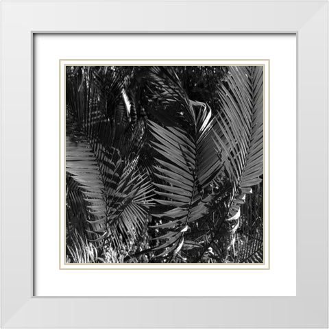 Black Palm White Modern Wood Framed Art Print with Double Matting by Phillip, Jamie