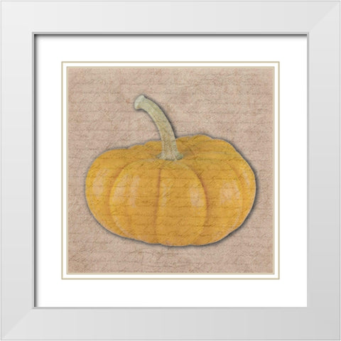 Pumpkin White Modern Wood Framed Art Print with Double Matting by Phillip, Jamie