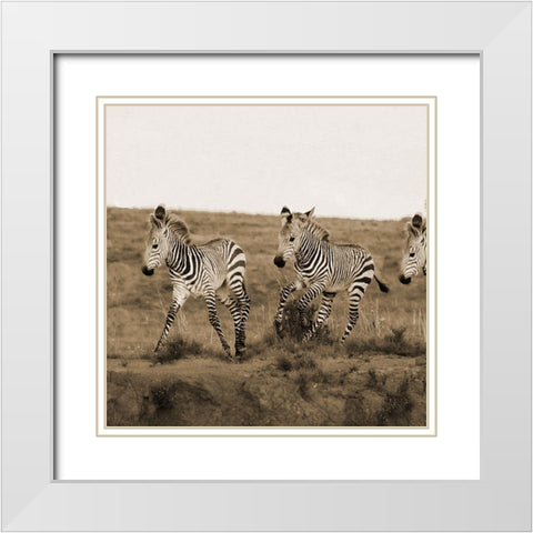 Young Runners White Modern Wood Framed Art Print with Double Matting by Phillip, Jamie