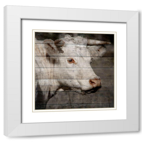 Bullkin 2 White Modern Wood Framed Art Print with Double Matting by Phillip, Jamie