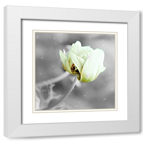 Black and White Hue White Modern Wood Framed Art Print with Double Matting by Phillip, Jamie