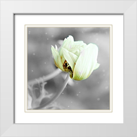 Black and White Hue White Modern Wood Framed Art Print with Double Matting by Phillip, Jamie