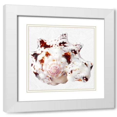 Deep Sea Treasure White Modern Wood Framed Art Print with Double Matting by Phillip, Jamie