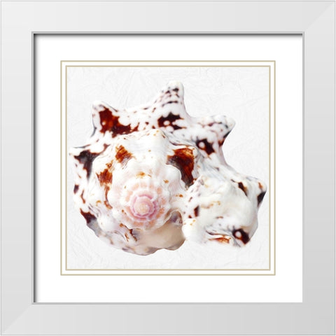 Deep Sea Treasure White Modern Wood Framed Art Print with Double Matting by Phillip, Jamie