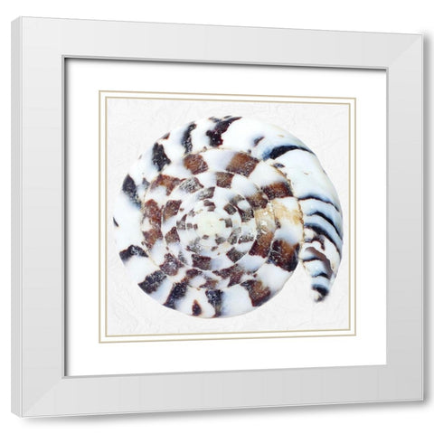 Deep Sea Treasure 2 White Modern Wood Framed Art Print with Double Matting by Phillip, Jamie