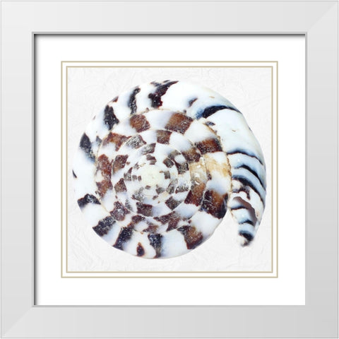 Deep Sea Treasure 2 White Modern Wood Framed Art Print with Double Matting by Phillip, Jamie