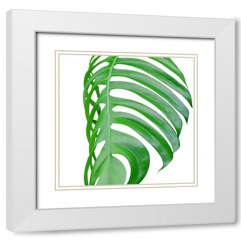 Pop up 3 White Modern Wood Framed Art Print with Double Matting by Phillip, Jamie