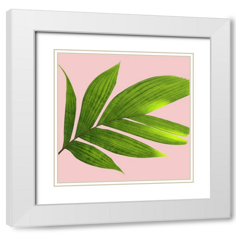 Mellow Mood 2 White Modern Wood Framed Art Print with Double Matting by Phillip, Jamie