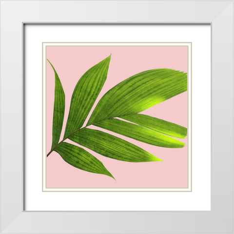 Mellow Mood 2 White Modern Wood Framed Art Print with Double Matting by Phillip, Jamie