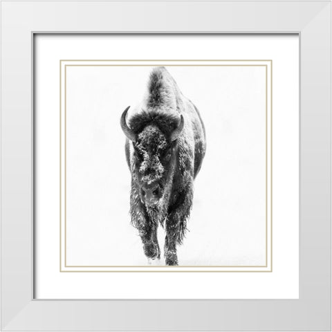 Blizzard Buff White Modern Wood Framed Art Print with Double Matting by Phillip, Jamie