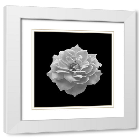Spntain White Modern Wood Framed Art Print with Double Matting by Phillip, Jamie