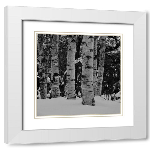 Winter Wood White Modern Wood Framed Art Print with Double Matting by Phillip, Jamie